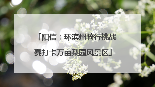 阳信：环滨州骑行挑战赛打卡万亩梨园风景区