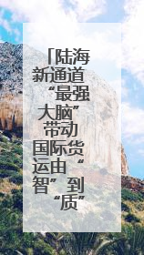 陆海新通道“最强大脑” 带动国际货运由“智”到“质”高质量发展