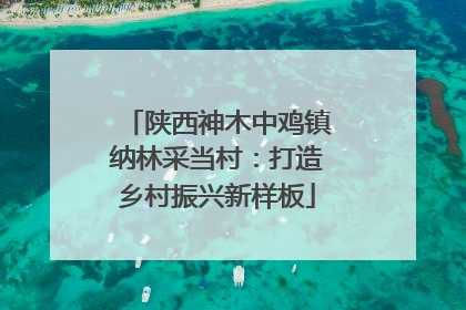 陕西神木中鸡镇纳林采当村：打造乡村振兴新样板