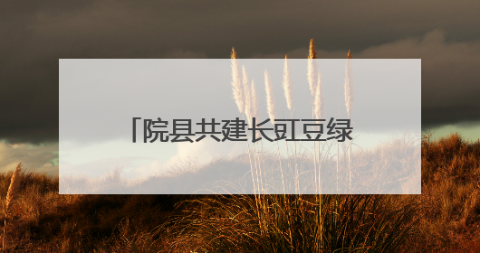 院县共建长豇豆绿色发展培训会举办