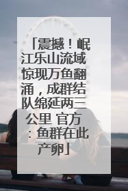 震撼！岷江乐山流域惊现万鱼翻涌，成群结队绵延两三公里 官方：鱼群在此产卵
