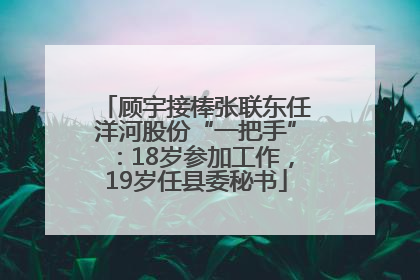 顾宇接棒张联东任洋河股份“一把手”：18岁参加工作，19岁任县委秘书