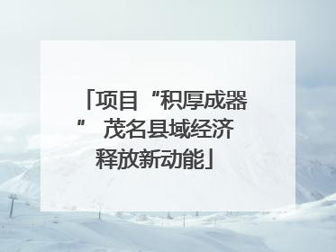 项目“积厚成器” 茂名县域经济释放新动能