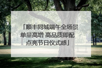 顺丰同城端午全场景单量高增 高品质即配点亮节日仪式感
