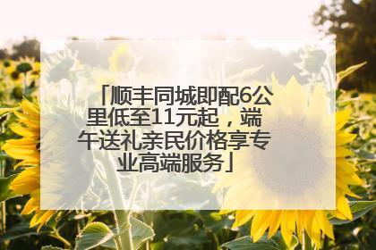 顺丰同城即配6公里低至11元起，端午送礼亲民价格享专业高端服务