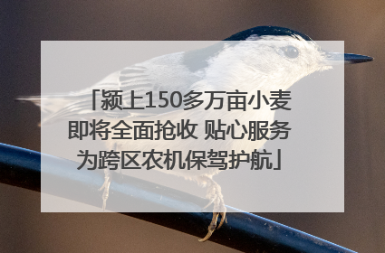 颍上150多万亩小麦即将全面抢收 贴心服务为跨区农机保驾护航