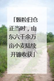 颗粒归仓正当时，山东六千余万亩小麦陆续开镰收获