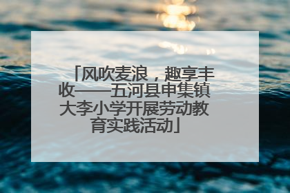 风吹麦浪，趣享丰收——五河县申集镇大李小学开展劳动教育实践活动