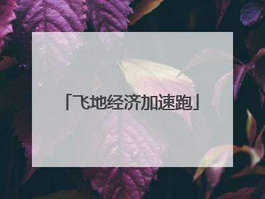 飞地经济加速跑