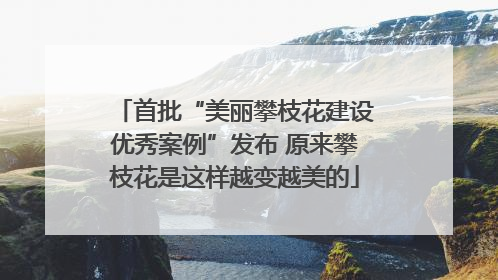 首批“美丽攀枝花建设优秀案例”发布 原来攀枝花是这样越变越美的