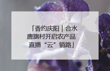 香约庆阳｜合水唐旗村开启农产品直播“云”销路