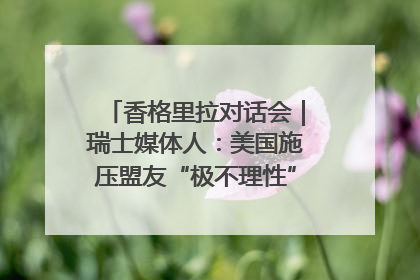 香格里拉对话会｜瑞士媒体人：美国施压盟友“极不理性” 欧洲国家无意与中国“脱钩断链”