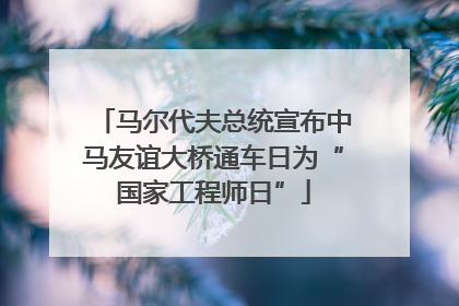 马尔代夫总统宣布中马友谊大桥通车日为“国家工程师日”