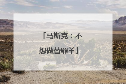 马斯克：不想做替罪羊