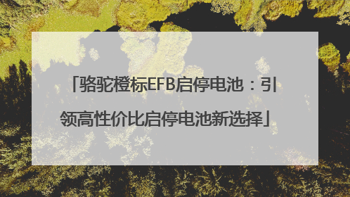 骆驼橙标EFB启停电池：引领高性价比启停电池新选择