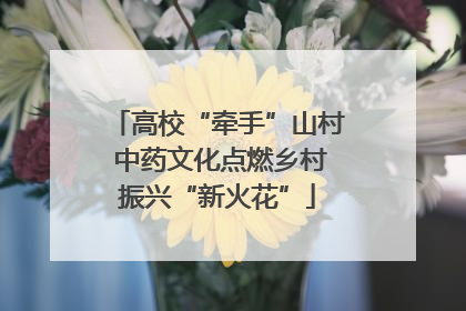 高校“牵手”山村 中药文化点燃乡村振兴“新火花”