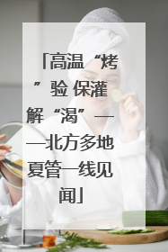 高温“烤”验 保灌解“渴”——北方多地夏管一线见闻