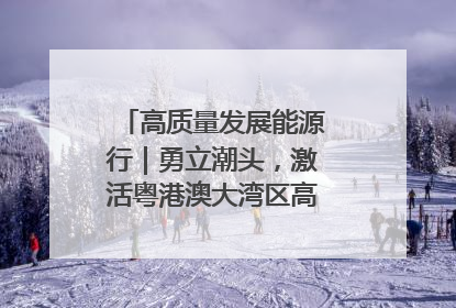 高质量发展能源行｜勇立潮头，激活粤港澳大湾区高质量发展动力源