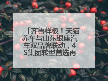 齐鲁样板！天猫养车与山东银座汽车双品牌联动，4S集团转型首选再创新范式