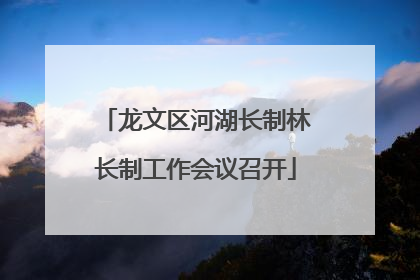 龙文区河湖长制林长制工作会议召开