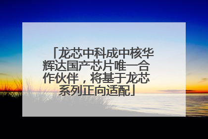 龙芯中科成中核华辉达国产芯片唯一合作伙伴，将基于龙芯系列正向适配