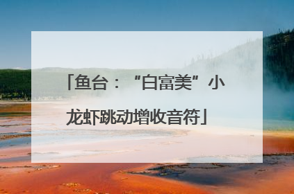 鱼台：“白富美”小龙虾跳动增收音符