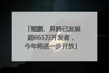 鲲鹏、昇腾已发展超665万开发者，今年将进一步开放