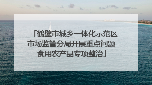 鹤壁市城乡一体化示范区市场监管分局开展重点问题食用农产品专项整治