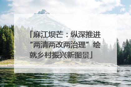 麻江坝芒：纵深推进“两清两改两治理”绘就乡村振兴新图景