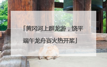 黄冈河上群龙游，饶平端午龙舟赛火热开桨