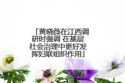黄晓薇在江西调研时强调 在基层社会治理中更好发挥妇联组织作用