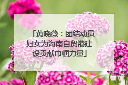 黄晓薇：团结动员妇女为海南自贸港建设贡献巾帼力量