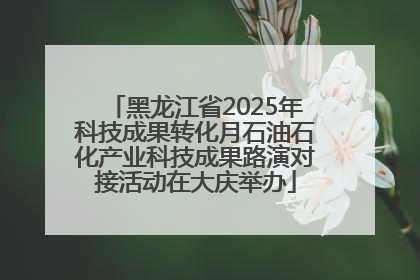 黑龙江省2025年科技成果转化月石油石化产业科技成果路演对接活动在大庆举办