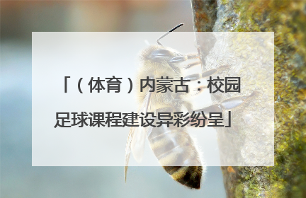 （体育）内蒙古：校园足球课程建设异彩纷呈