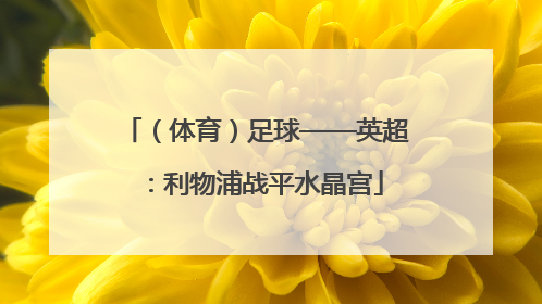 （体育）足球——英超：利物浦战平水晶宫