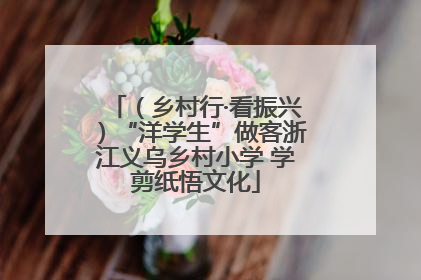 （乡村行·看振兴）“洋学生”做客浙江义乌乡村小学 学剪纸悟文化