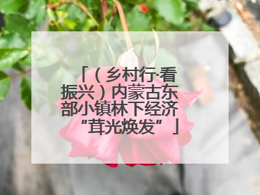 （乡村行·看振兴）内蒙古东部小镇林下经济“茸光焕发”