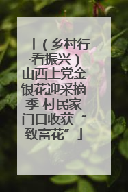 （乡村行·看振兴）山西上党金银花迎采摘季 村民家门口收获“致富花”