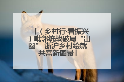 （乡村行·看振兴）毗邻统战破局“出圈” 浙沪乡村绘就共富新图景