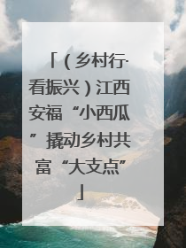 （乡村行·看振兴）江西安福“小西瓜”撬动乡村共富“大支点”