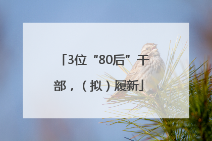 3位“80后”干部，（拟）履新