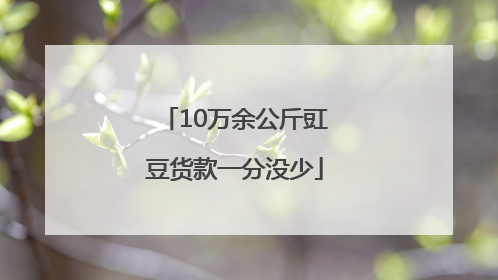 10万余公斤豇豆货款一分没少