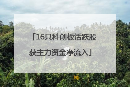 16只科创板活跃股获主力资金净流入