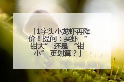 1字头小龙虾再降价！提问：买虾 “钳大” 还是 “钳小” 更划算？
