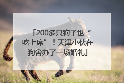 200多只狗子也“吃上席”!天津小伙在狗舍办了一场婚礼