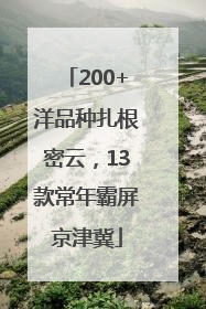 200+洋品种扎根密云，13款常年霸屏京津冀