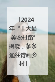 2024年“十大最美农村路”揭晓，条条通往诗画乡村