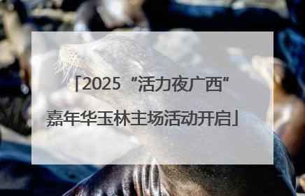 2025“活力夜广西”嘉年华玉林主场活动开启