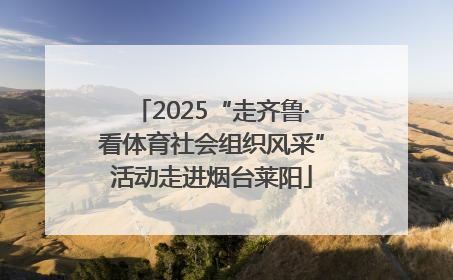 2025“走齐鲁·看体育社会组织风采”活动走进烟台莱阳