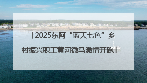 2025东阿“蓝天七色”乡村振兴职工黄河微马激情开跑